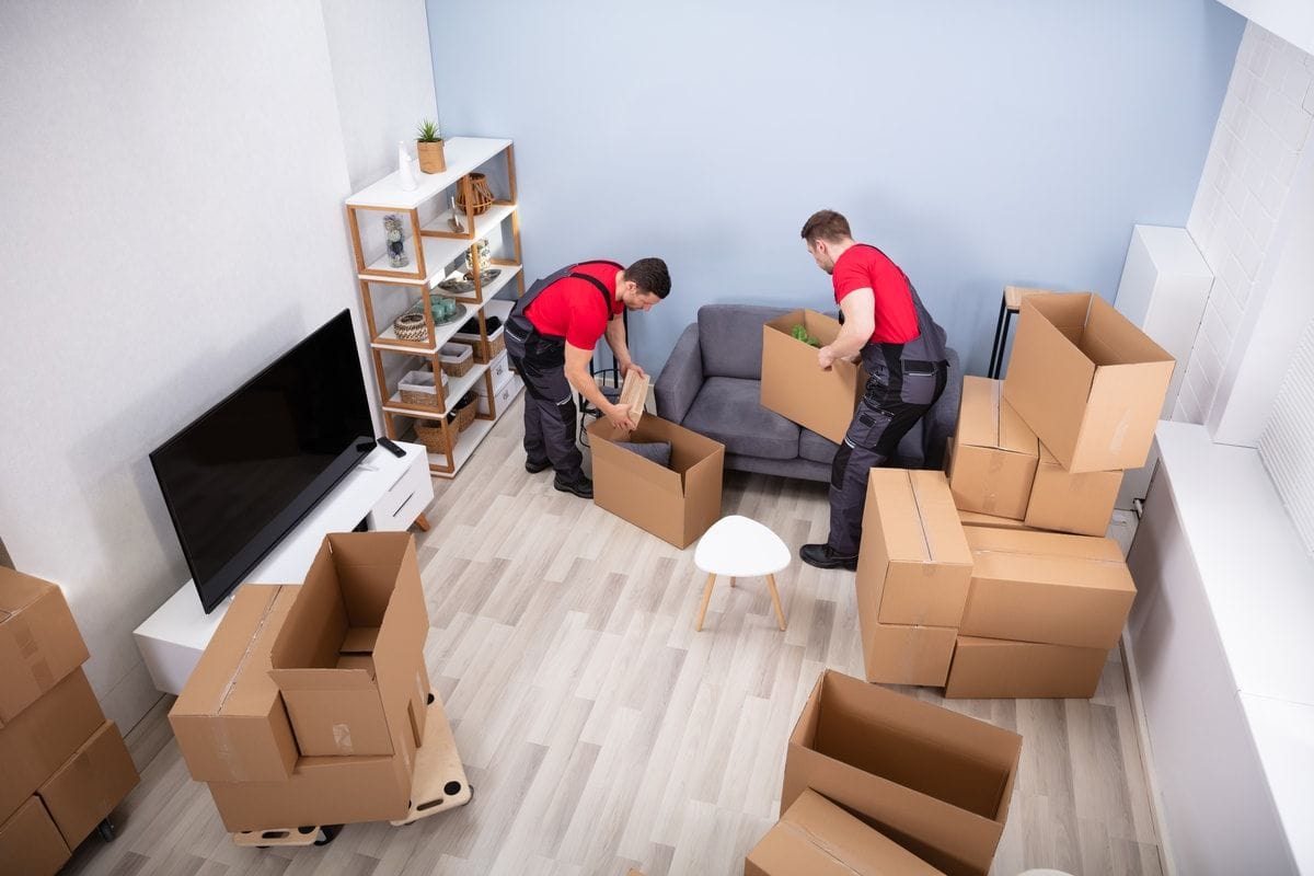 Movers Suffolk County